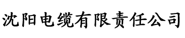 丰满人妻熟女aⅴ中文字幕电缆厂logo